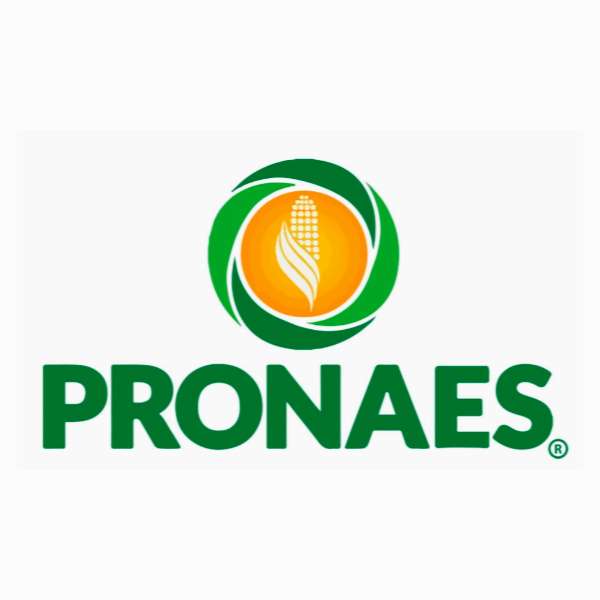 Pronaes